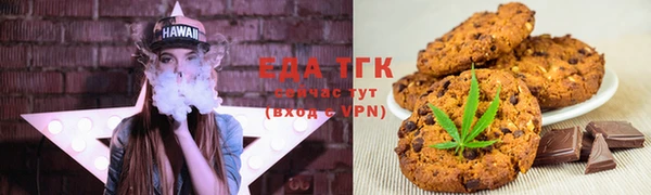 стаф Горняк