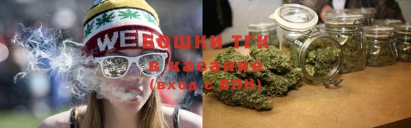 тгк Горнозаводск