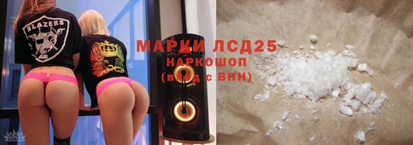 стаф Горняк