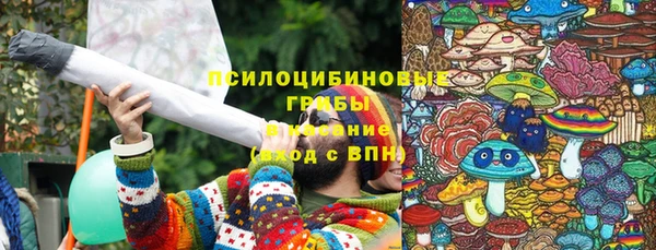 тгк Горнозаводск