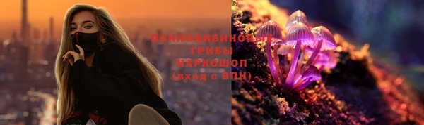 стаф Горняк