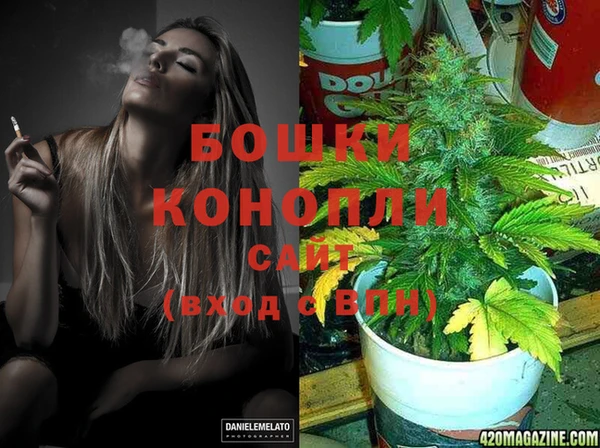 стаф Горняк