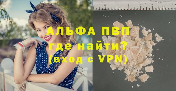 стаф Горняк