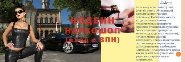 стаф Горняк