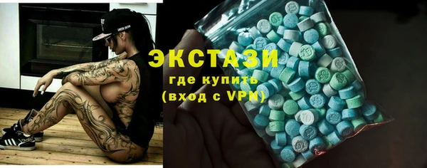 стаф Горняк